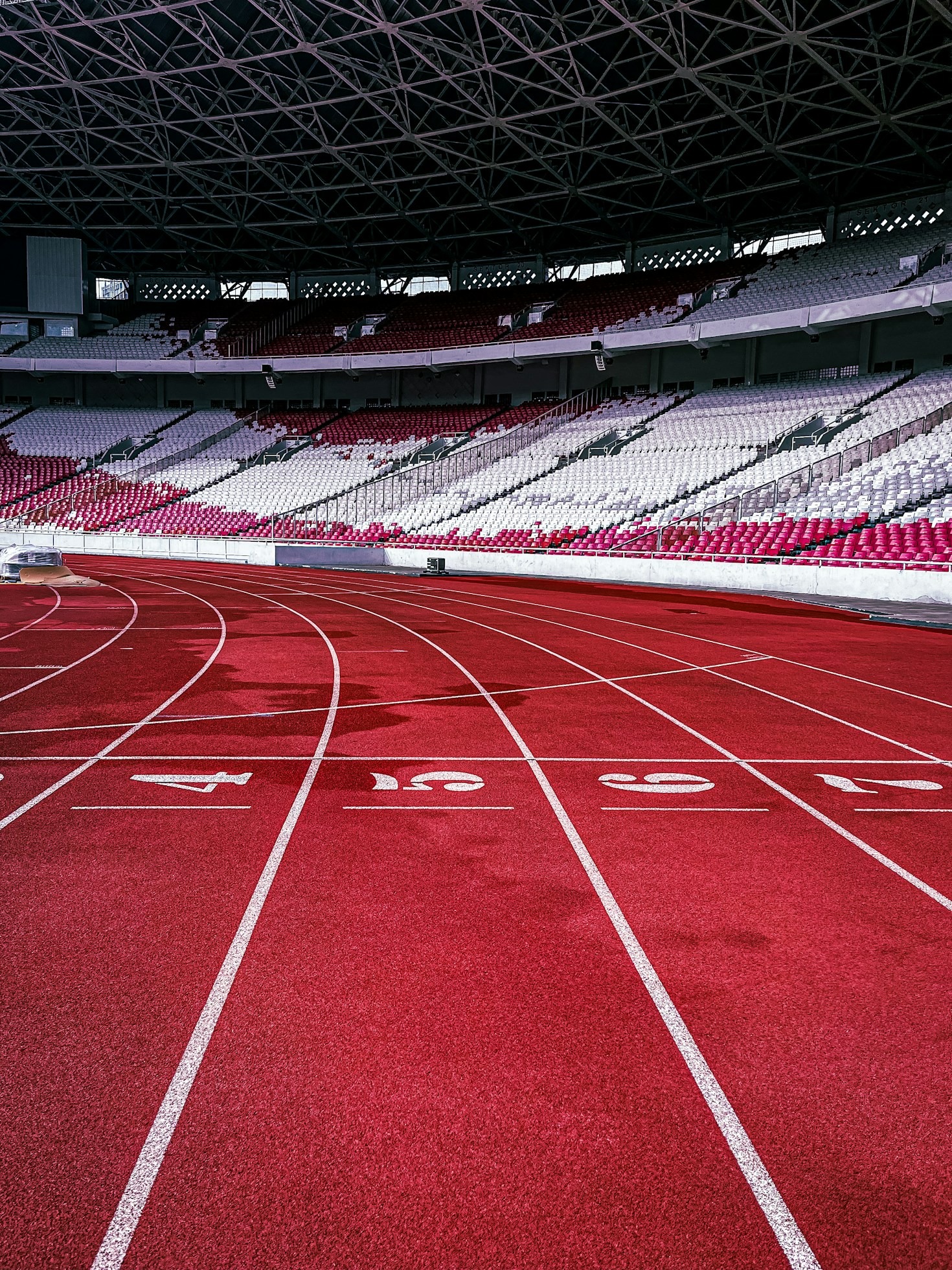 Understanding The Business Of Female Athletics